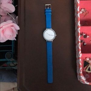 Blue Skagen watch.